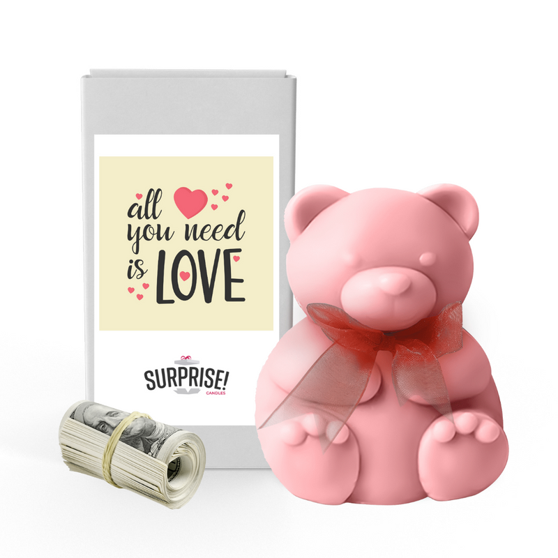 All You need is Love | Valentines Day Surprise Cash Money Bear Wax Melts