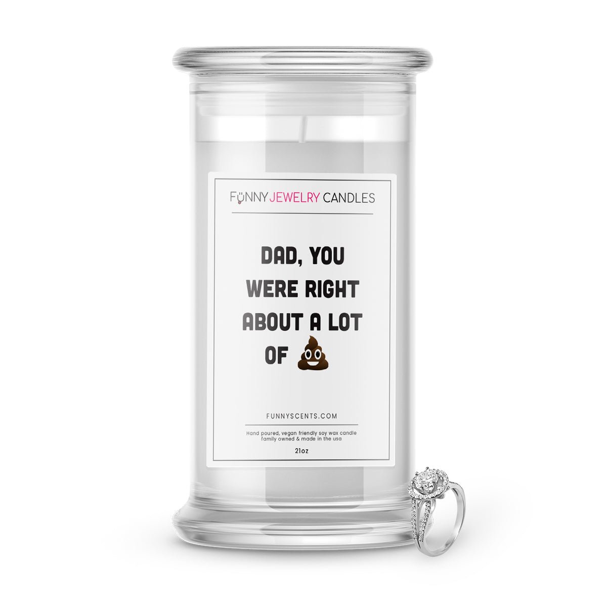 Dad, You Were Right About Lot of Shit Jewelry Funny Candles
