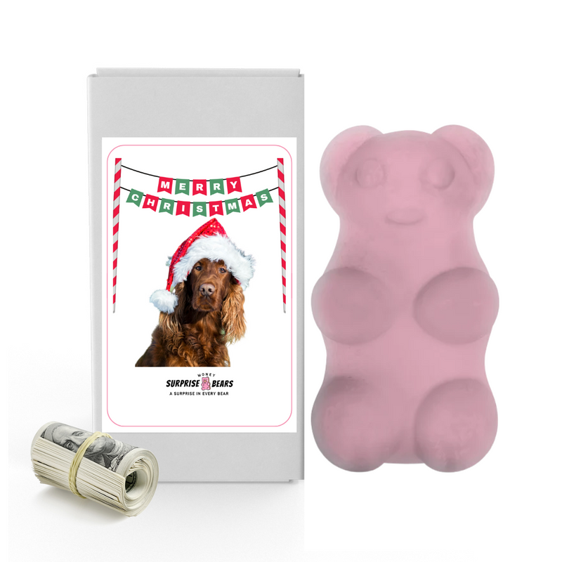 Merry Christmas Dog 3 | Christmas Surprise Cash Bears
