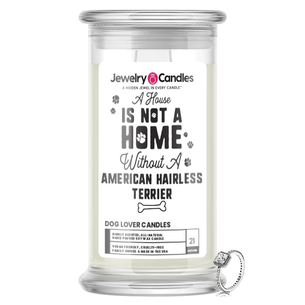A house is not a home without a American Hairless Terrier Dog Jewelry Candle