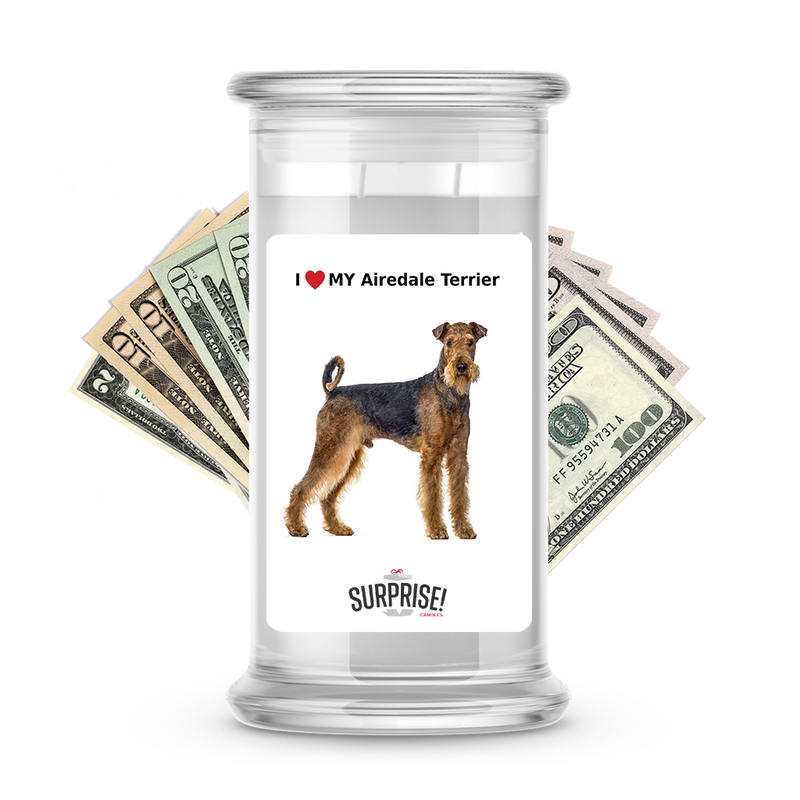 I ❤️ My Airedale terrier | Dog Surprise Cash Candles