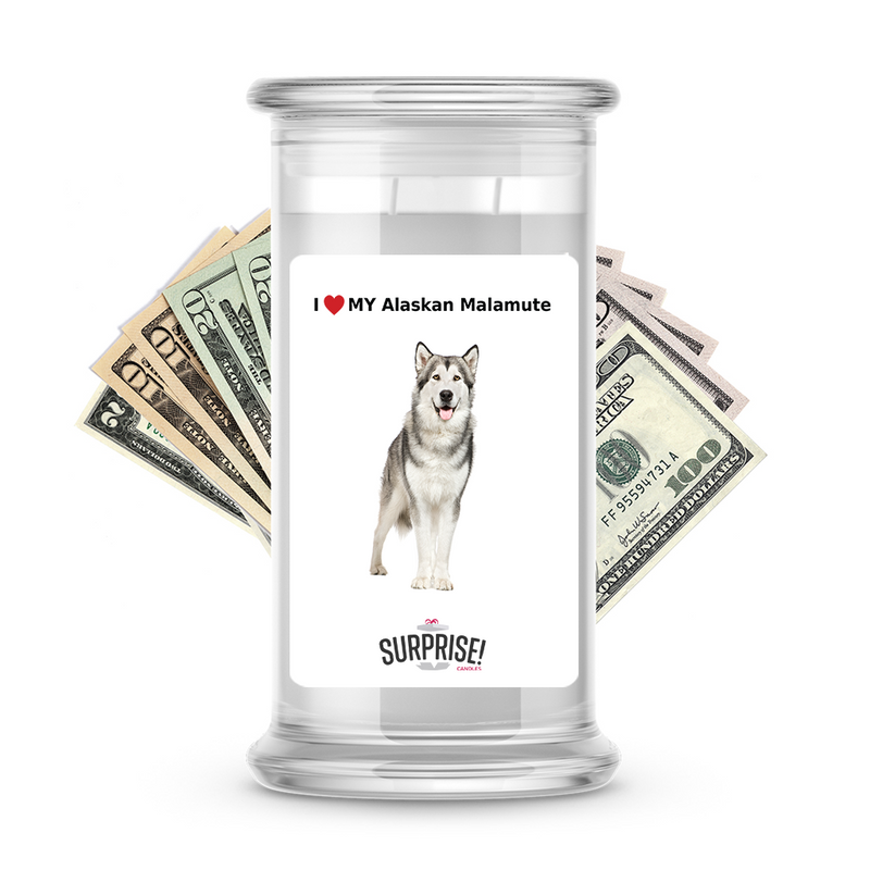 I ❤️ My Alaskan Malamute | Dog Surprise Cash Candles