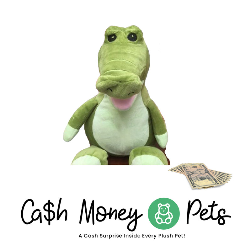 Alligator Cash Money Pet