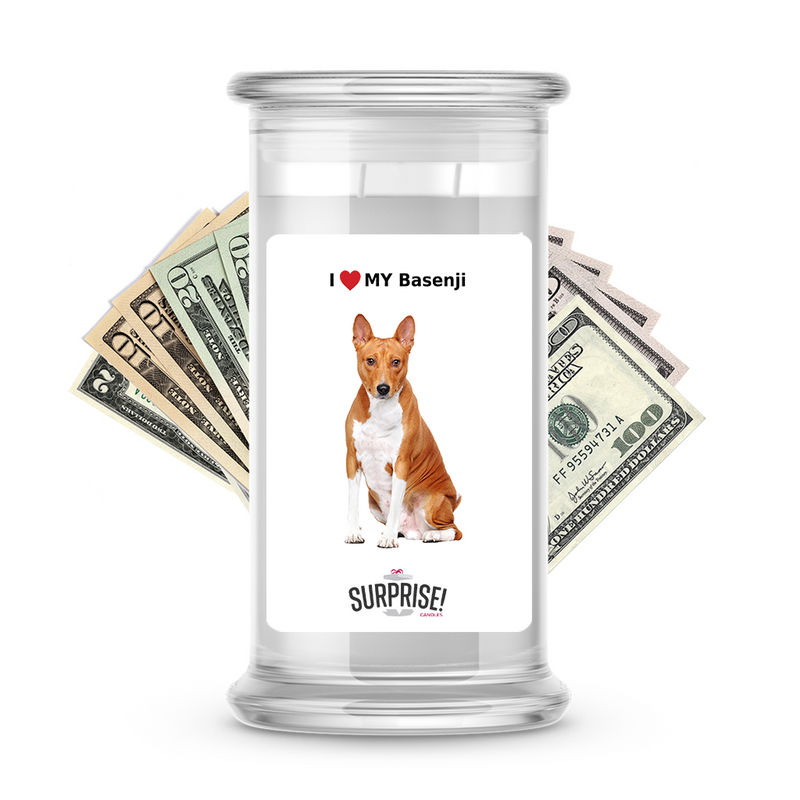 I ❤️ My Basenji | Dog Surprise Cash Candles