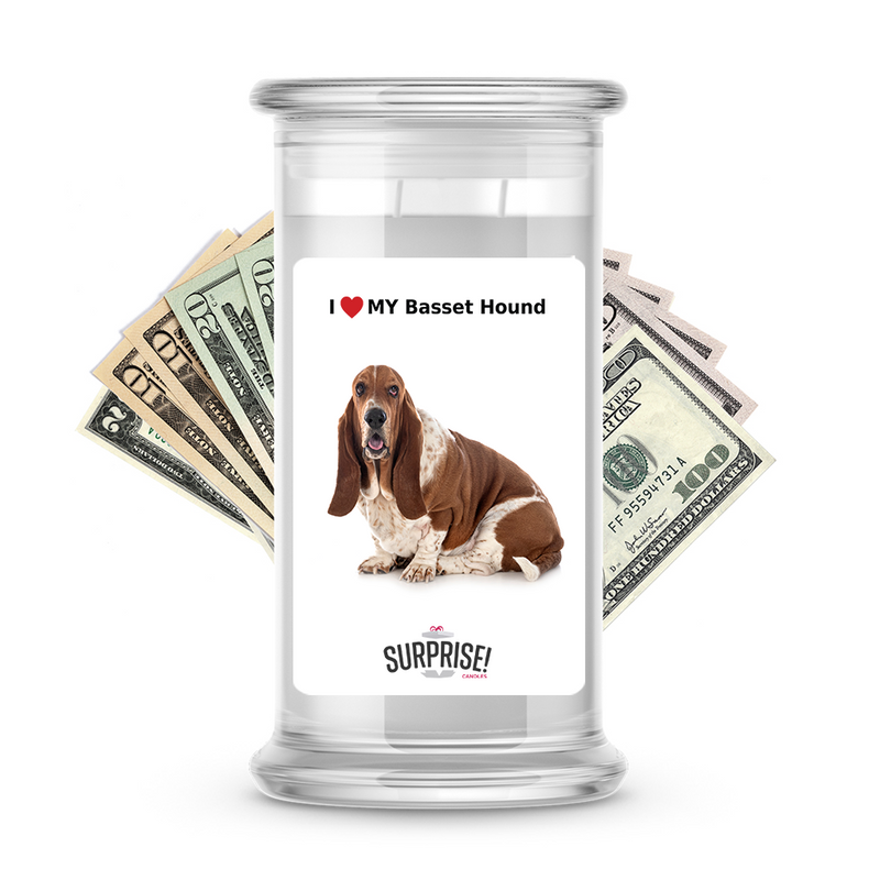 I ❤️ My Basset hound | Dog Surprise Cash Candles