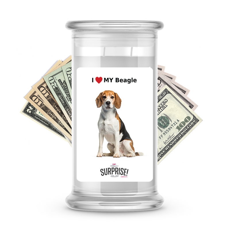 I ❤️ My Beagle | Dog Surprise Cash Candles