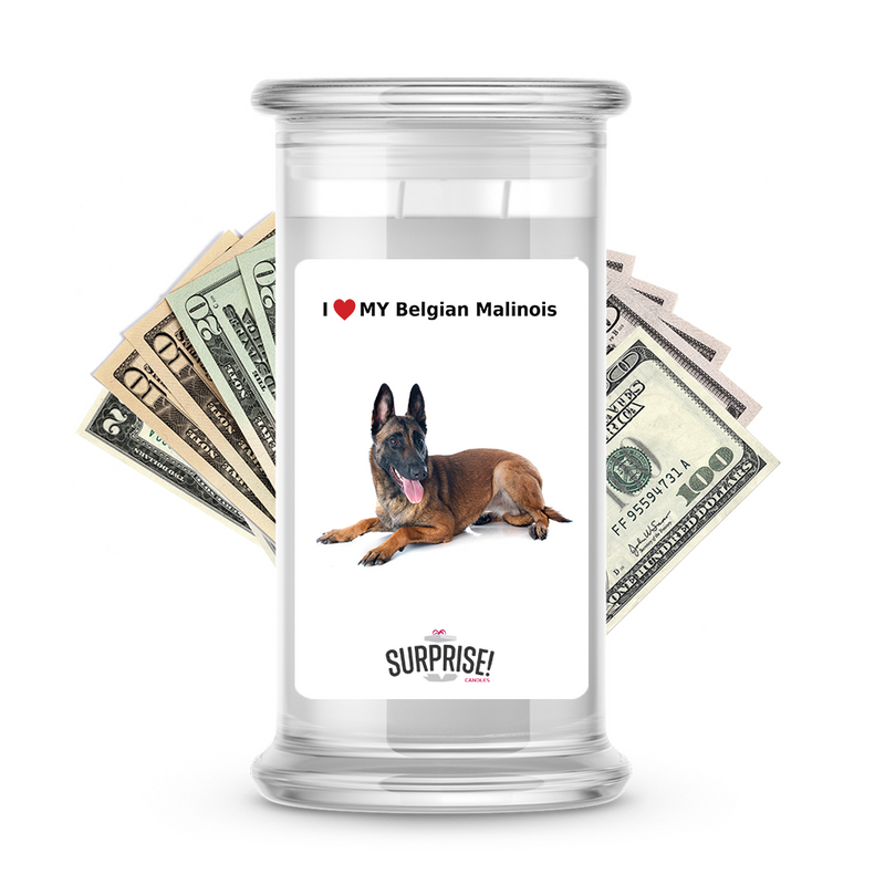 I ❤️ My Belgian Malinois | Dog Surprise Cash Candles