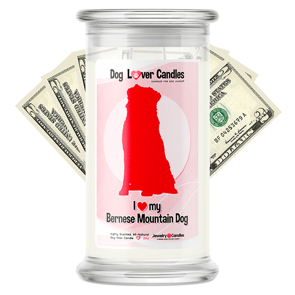 Bernese Mountain Dog Dog Lover Cash Candle