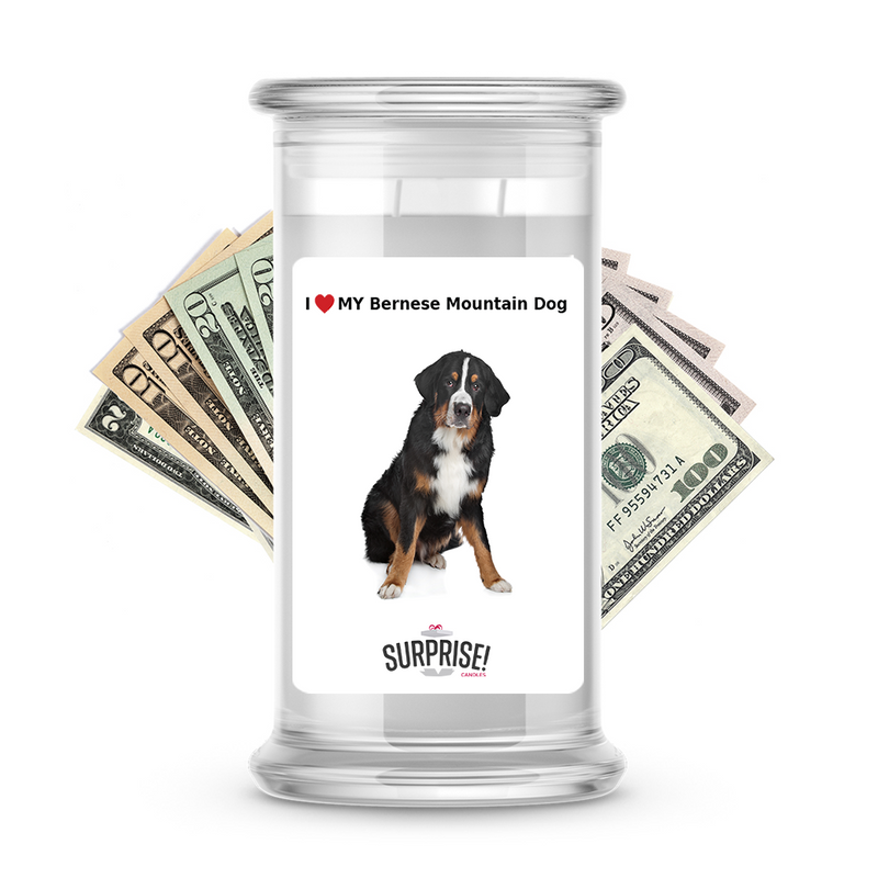 I ❤️ My Bernese mountain dog | Dog Surprise Cash Candles