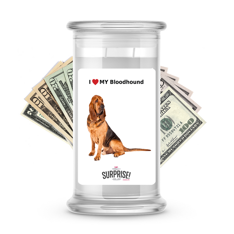 I ❤️ My Bloodhound | Dog Surprise Cash Candles