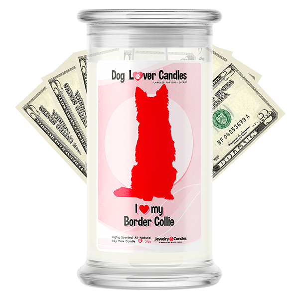 Border Collie Dog Lover Cash Candle