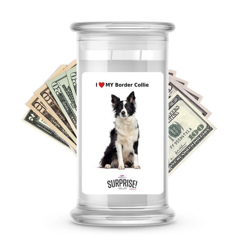 I ❤️ My Border collie | Dog Surprise Cash Candles