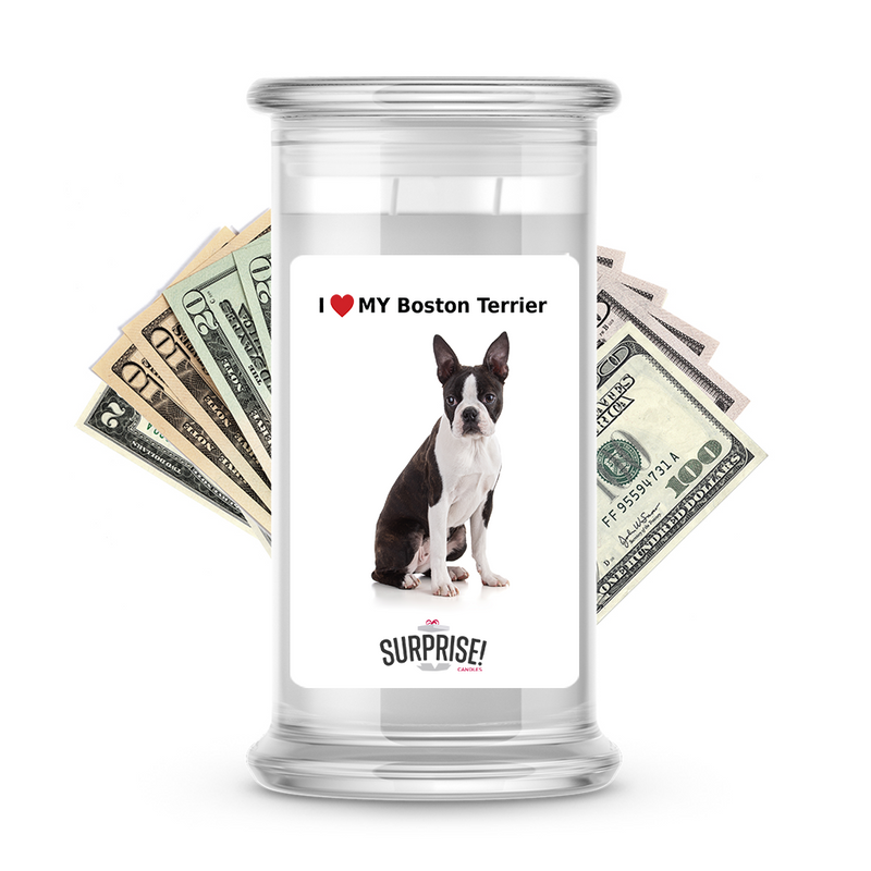 I ❤️ My Boston terrier | Dog Surprise Cash Candles