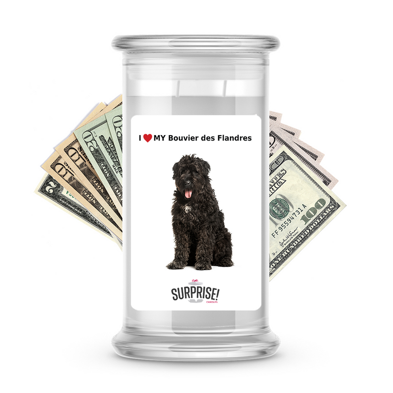 I ❤️ My Bouvier des Flandres | Dog Surprise Cash Candles