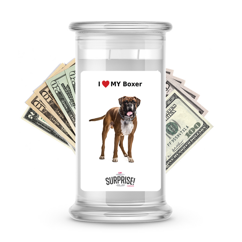 I ❤️ My Boxer | Dog Surprise Cash Candles