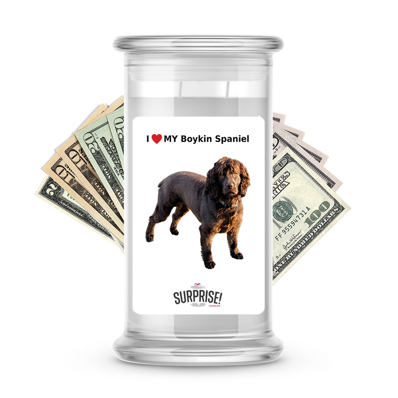 I ❤️ My Boykin spaniel | Dog Surprise Cash Candles