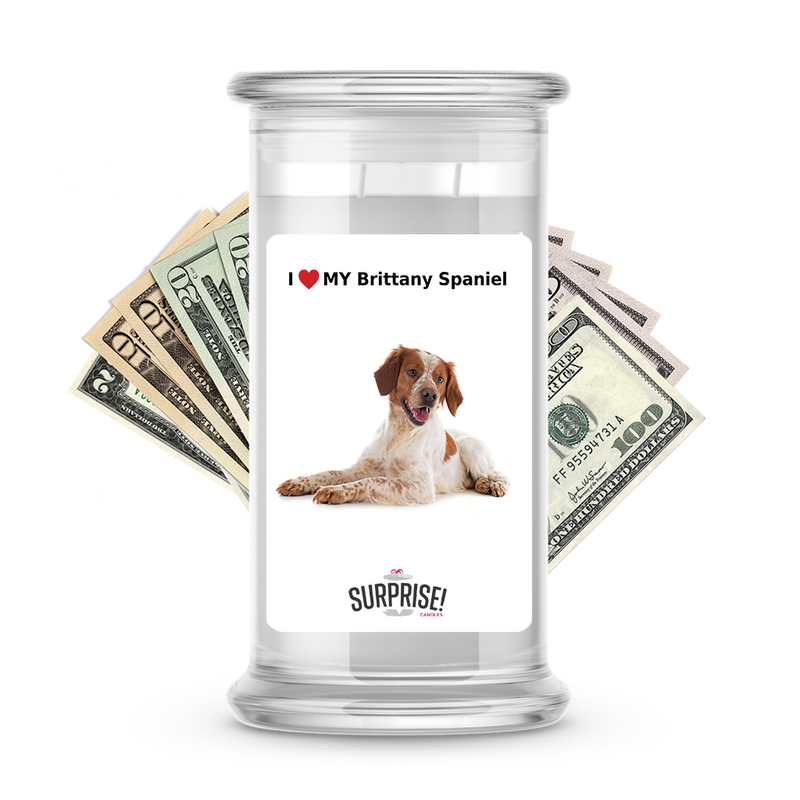 I ❤️ My Brittany spaniel | Dog Surprise Cash Candles
