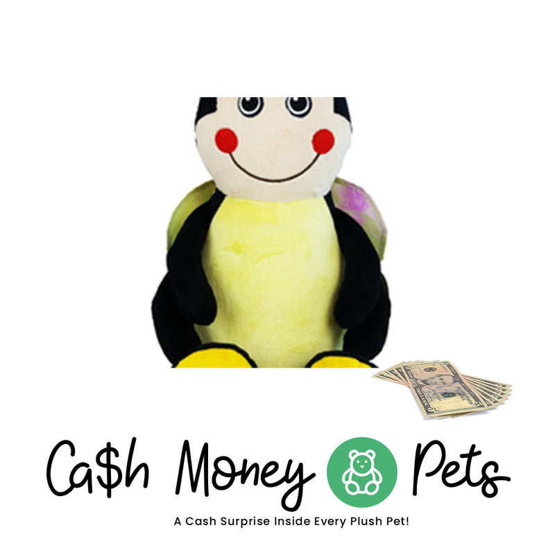 Bug Cash Money Pet