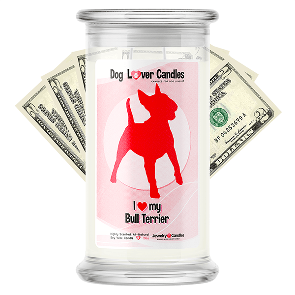 Bull Terrier Dog Lover Cash Candle