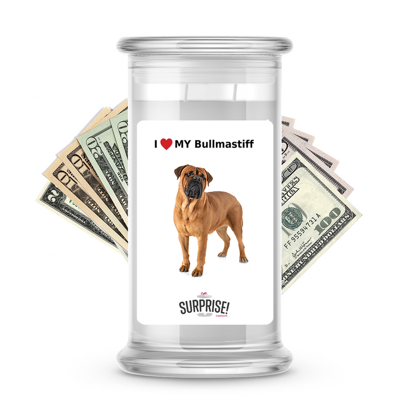 I ❤️ My Bullmastiff | Dog Surprise Cash Candles