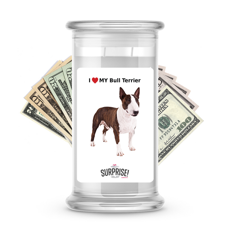 I ❤️ My Bull terrier | Dog Surprise Cash Candles