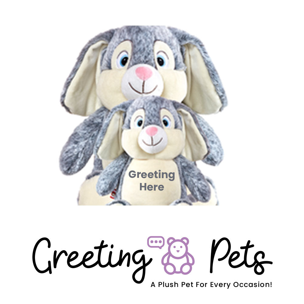 Bunnies Greeting Pet