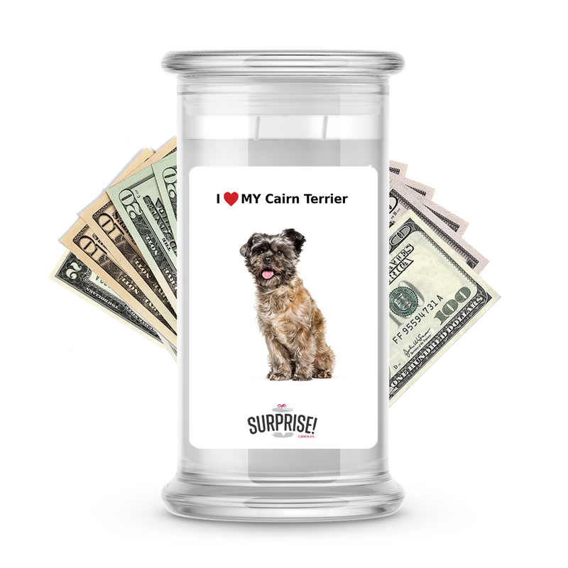 I ❤️ My Cairn terrier | Dog Surprise Cash Candles