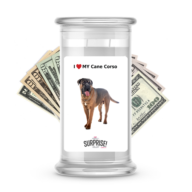 I ❤️ My Cane corso | Dog Surprise Cash Candles