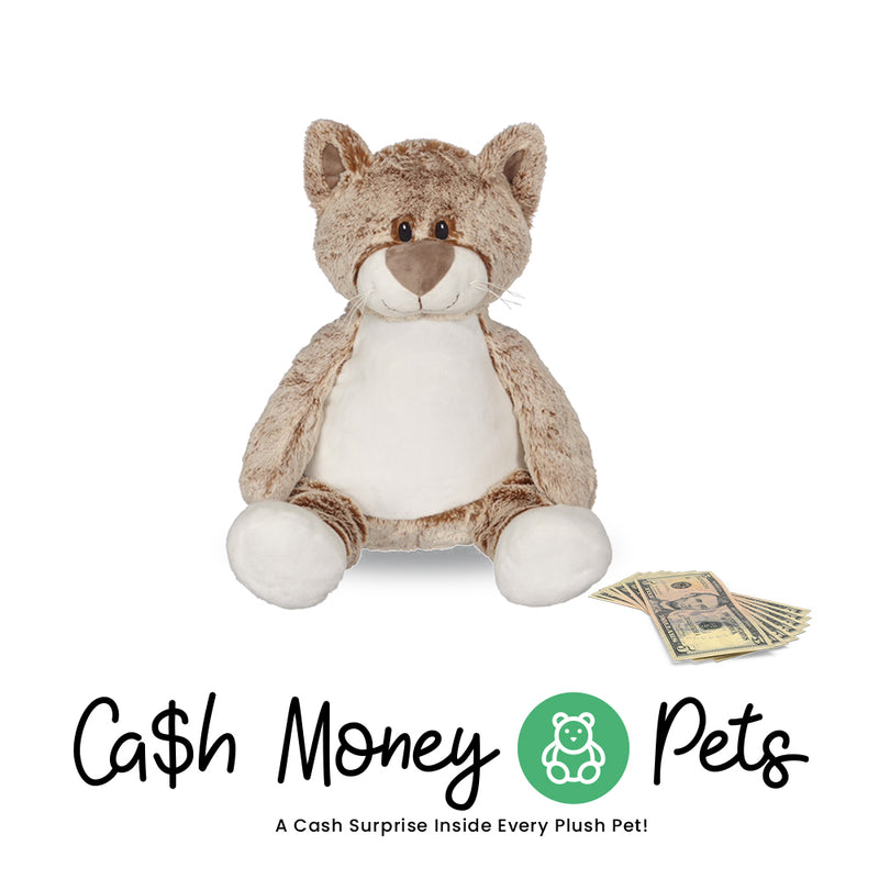 Cat Cash Money Pet