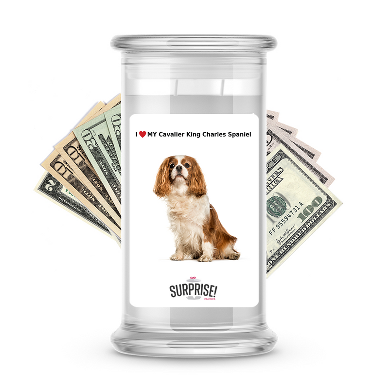I ❤️ My Cavalier King Charles Spaniel | Dog Surprise Cash Candles