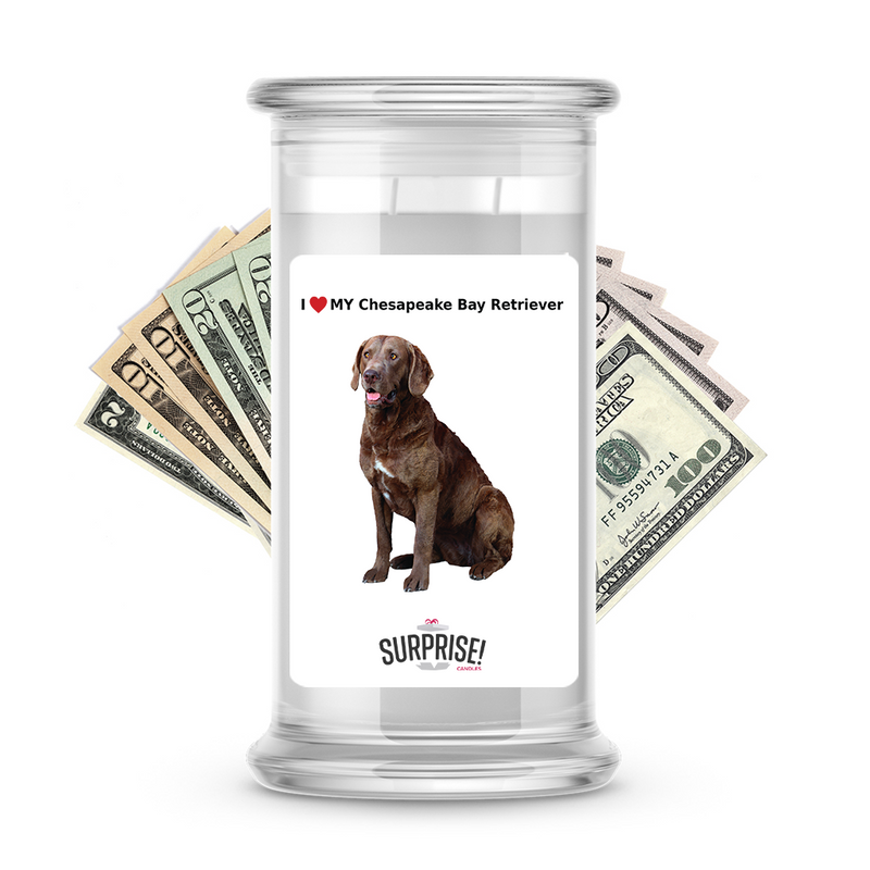 I ❤️ My Chesapeake Bay retriever | Dog Surprise Cash Candles