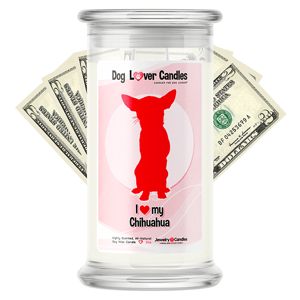Chihuahua Dog Lover Cash Candle