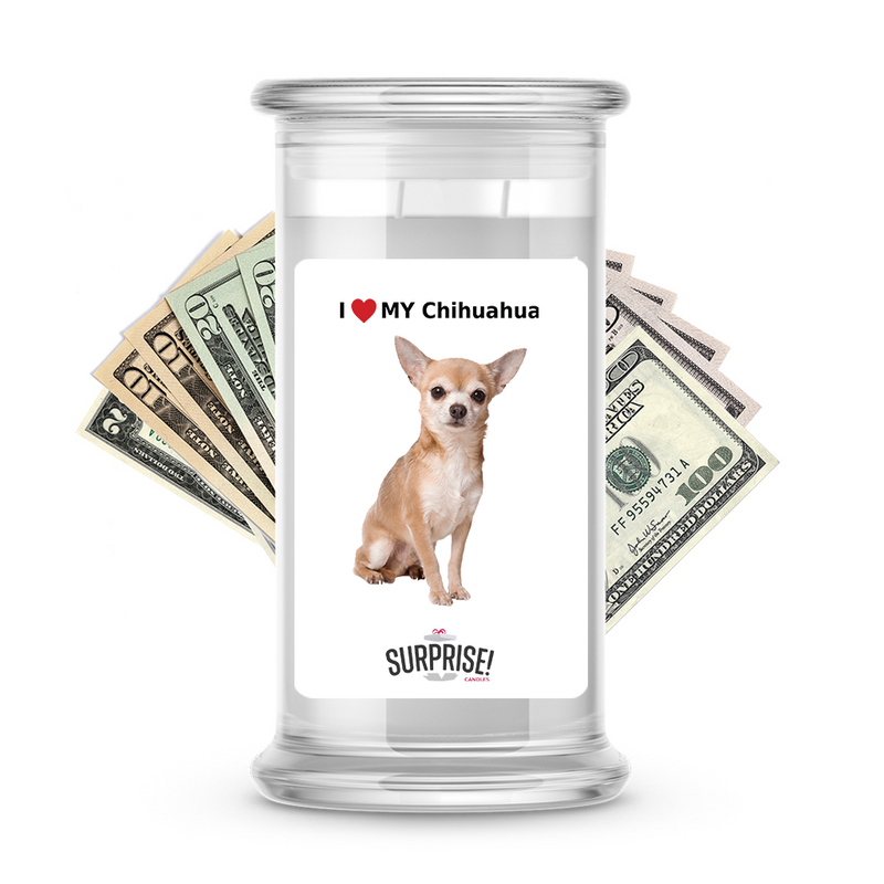 I ❤️ My Chihuahua | Dog Surprise Cash Candles