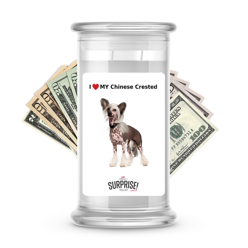 I ❤️ My Chinese crested | Dog Surprise Cash Candles