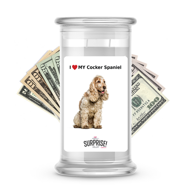 I ❤️ My Cocker spaniel | Dog Surprise Cash Candles