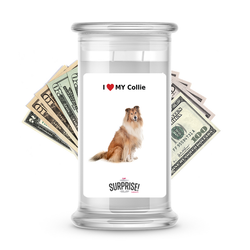 I ❤️ My Collie | Dog Surprise Cash Candles