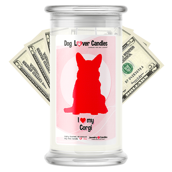 Corgi Dog Lover Cash Candle