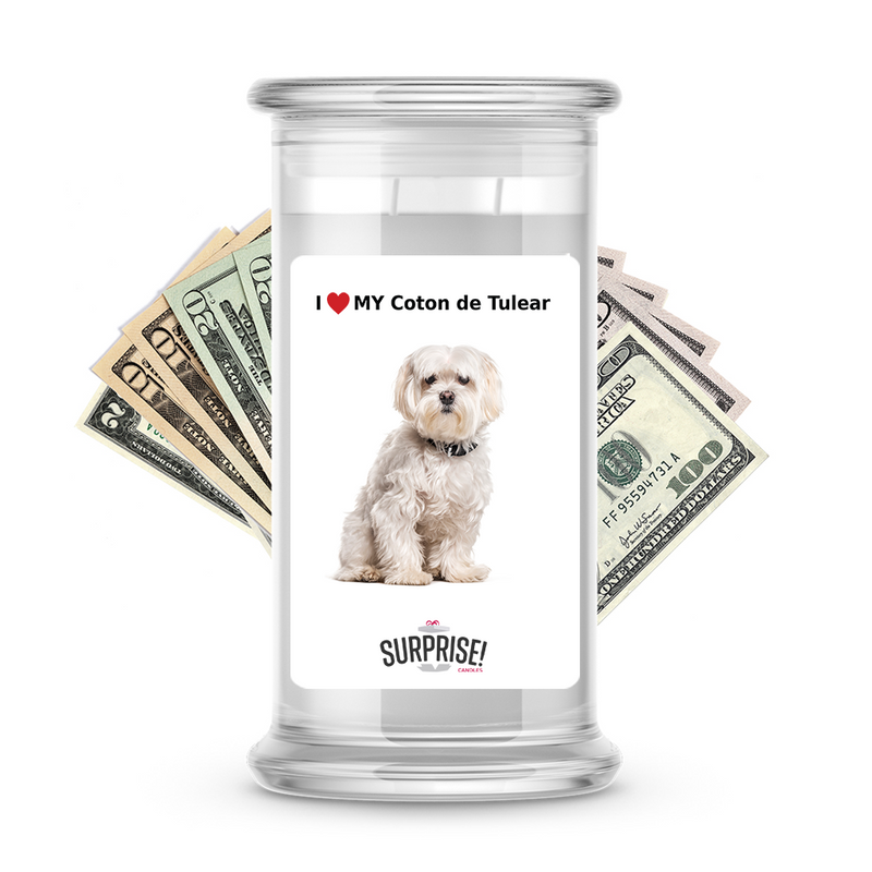 I ❤️ My Coton de Tulear | Dog Surprise Cash Candles