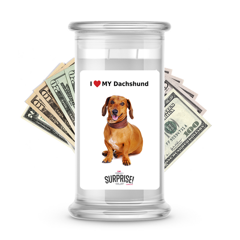 I ❤️ My Dachshund | Dog Surprise Cash Candles
