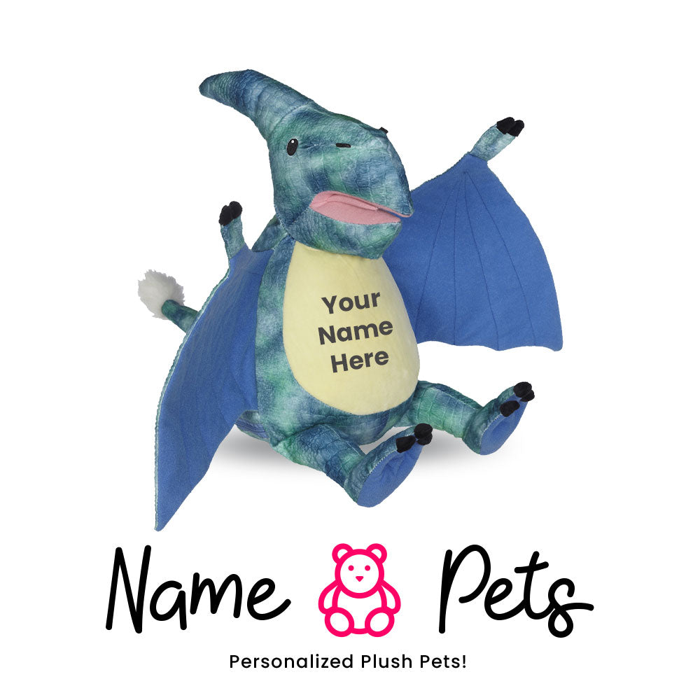 Dino-3 Name Pet