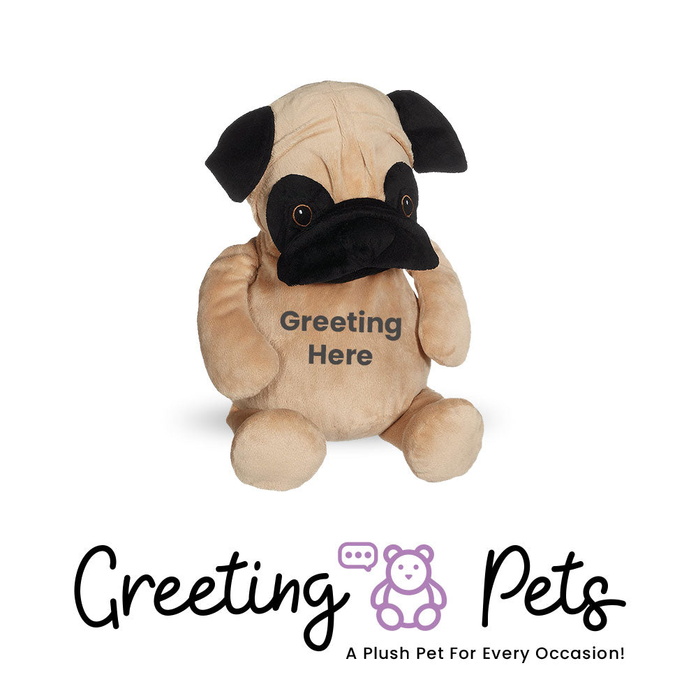 Dog-3 Greeting Pet