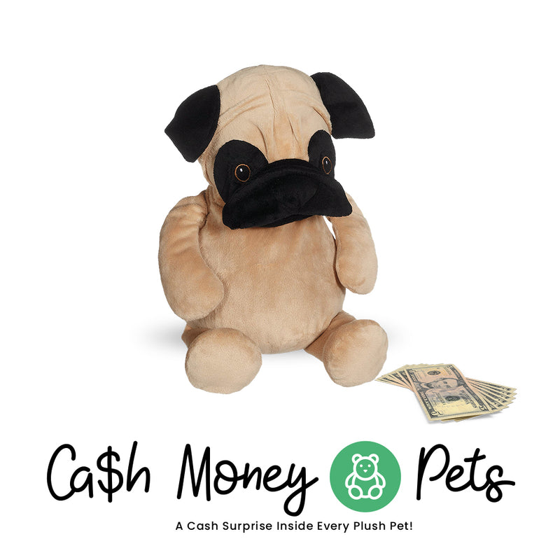 Dog-3 Cash Money Pet