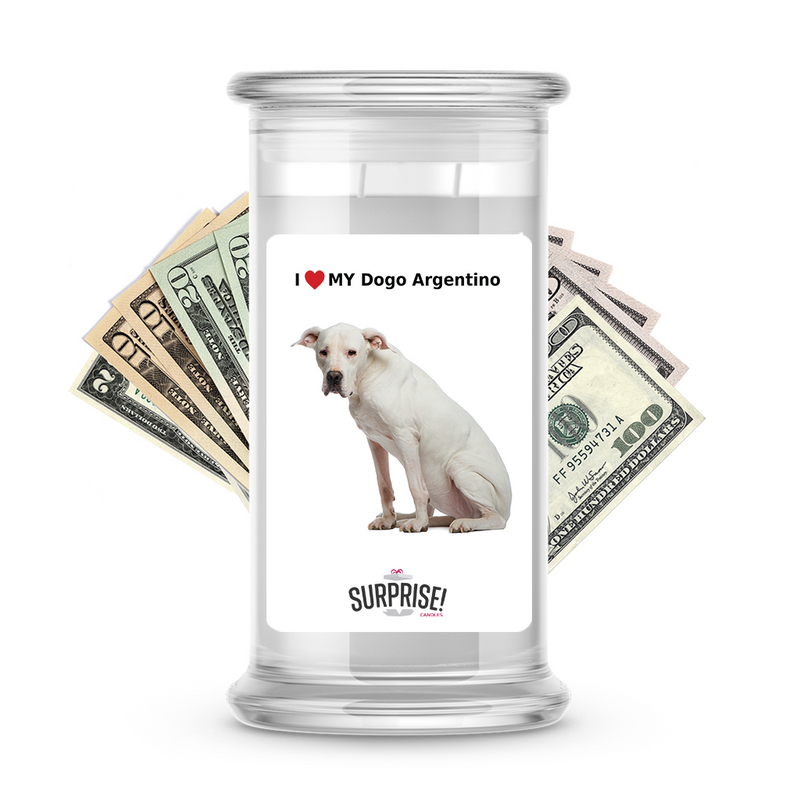 I ❤️ My Dogo Argentino | Dog Surprise Cash Candles