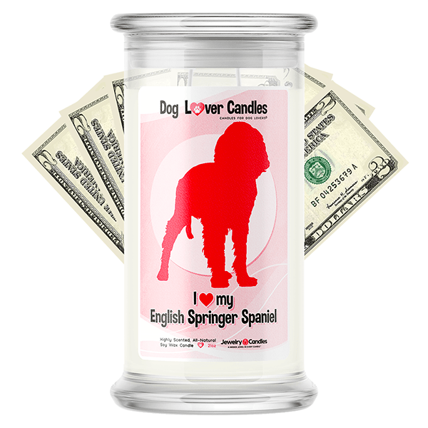 English Springer Spaniel Dog Lover Cash Candle