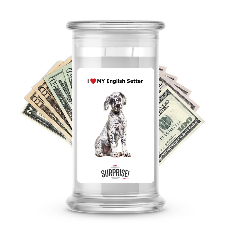I ❤️ My English setter | Dog Surprise Cash Candles