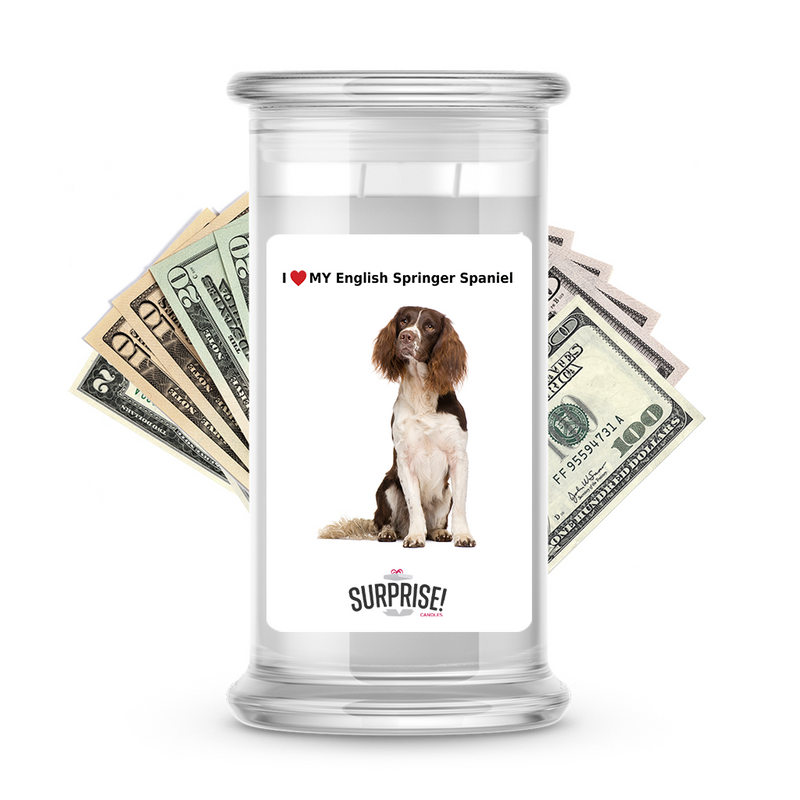 I ❤️ My English springer spaniel | Dog Surprise Cash Candles