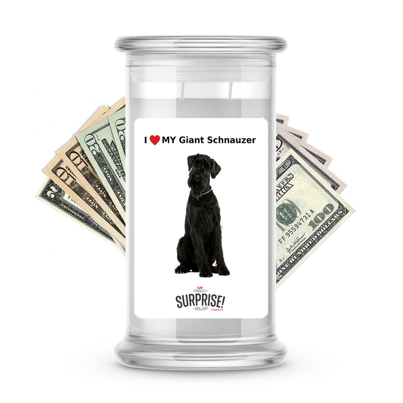 I ❤️ My Giant schnauzer | Dog Surprise Cash Candles