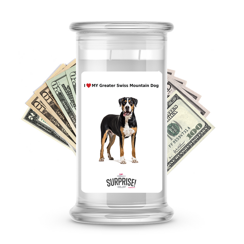 I ❤️ My Greater Swiss mountain dog | Dog Surprise Cash Candles