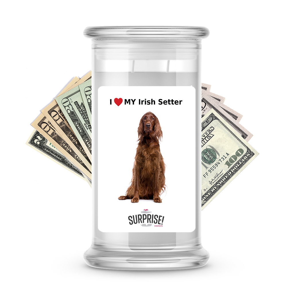 I ❤️ My Irish setter | Dog Surprise Cash Candles