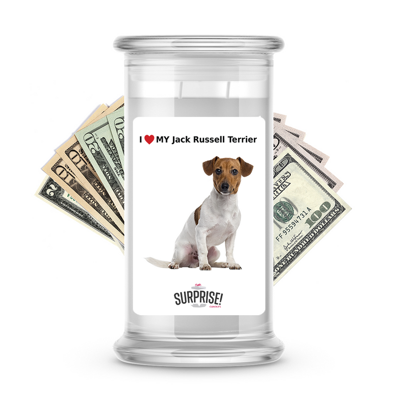 I ❤️ My Jack Russell terrier | Dog Surprise Cash Candles